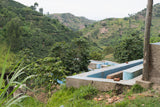 Rwamatamu Washed - Rwanda