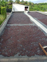 El Indio Natural - Colombia