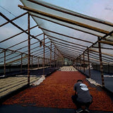 El Indio Natural - Colombia