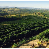 Mogiana Natural - Brazil